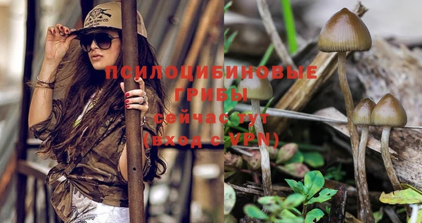 экстази Абинск