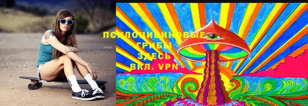 винт Абаза
